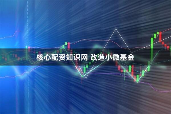 核心配资知识网 改造小微基金