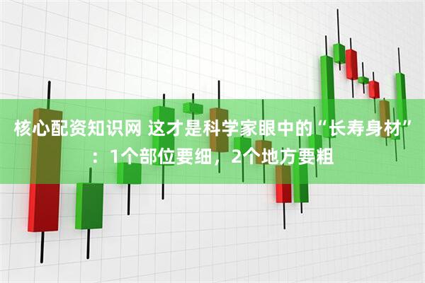 核心配资知识网 这才是科学家眼中的“长寿身材”：1个部位要细，2个地方要粗