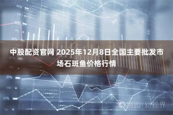 中股配资官网 2025年12月8日全国主要批发市场石斑鱼价格行情
