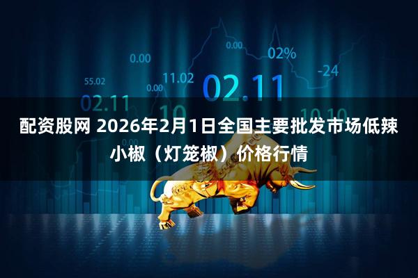 配资股网 2026年2月1日全国主要批发市场低辣小椒（灯笼椒）价格行情