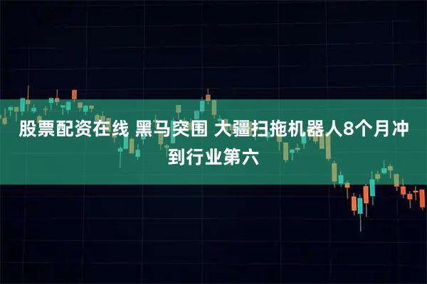 股票配资在线 黑马突围 大疆扫拖机器人8个月冲到行业第六